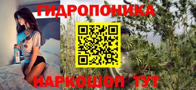 mdpv Лесосибирск
