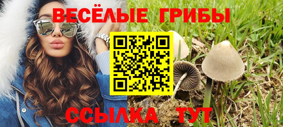 Галлюциногенные грибы Cubensis  Вход с VPN  Гусев 