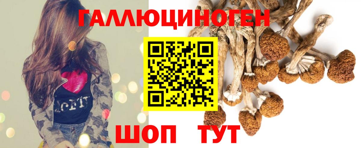 Псилоцибиновые грибы ЛСД Гусев